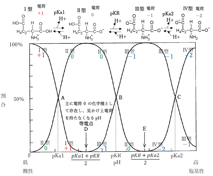 薬学 物理化学・生化学 アミノ酸のpH変化に対する化学種の存在割合(存在比)の変化,等電点