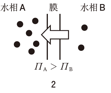 浸透圧と水の移動する方向 105回薬剤師国家試験問204,205