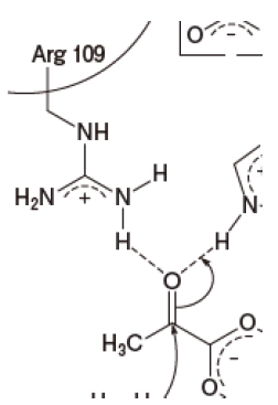 109回薬剤師国家試験問106 乳酸脱水素酵素の活性中心