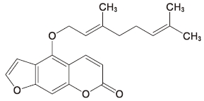 111回薬剤師国家試験問10の解説 植物由来の化合物が含む部分構造