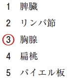 111回薬剤師国家試験問13の解説 一次(中枢)リンパ器官はどれか