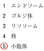 111回薬剤師国家試験問44の解説 シトクロムP450 が局在する細胞内小器官