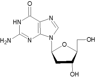 バラシクロビルに関する記述… バリン,プロドラッグ意図 104回薬剤師国家試験問213