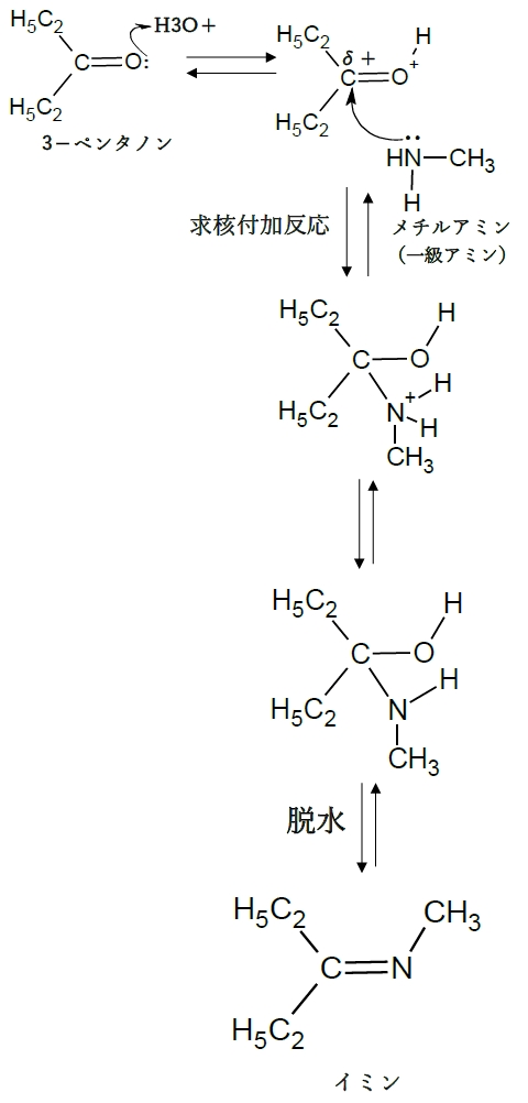 アルデヒド,ケトンと1級2級アミンからイミン.エナミンの反応機構 89回問10d