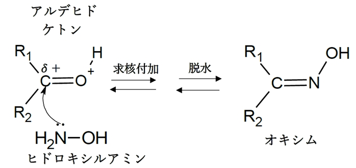 アルデヒド ケトンとアミンの反応性 速度 に対するphの影響 回問10a