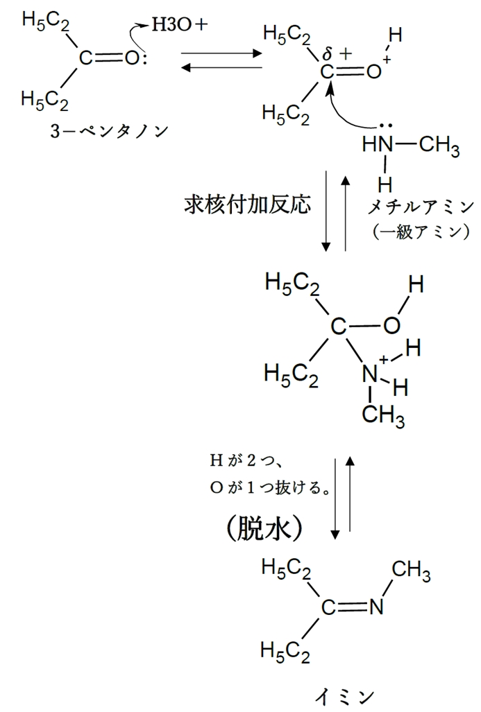 アルデヒド ケトンと1級2級アミンからイミン エナミンの反応機構 回