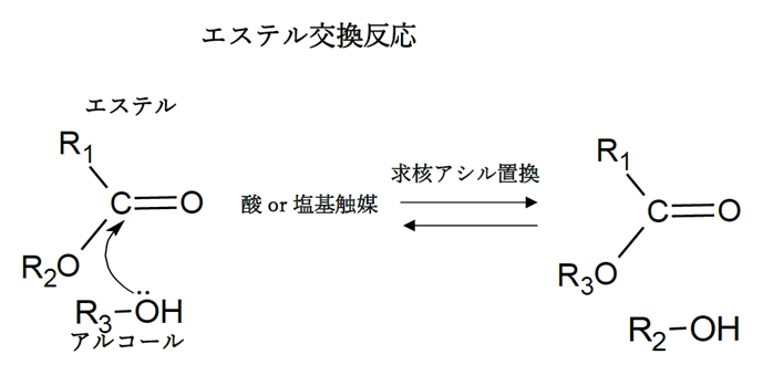 エステルとアルコールの反応 エステル交換反応の反応機構 91回問8a エステルとアルコールの反応 エステル交換反応の反応機構 91回問8a