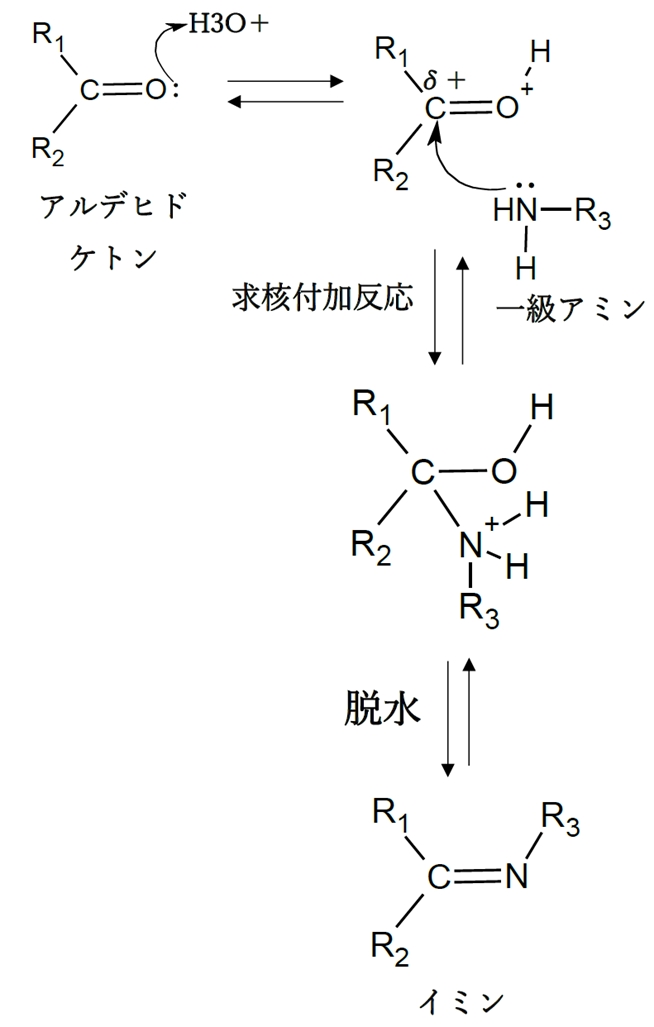アルデヒド ケトンとアンモニア Nh3 からイミン生成の反応機構 92回問9d