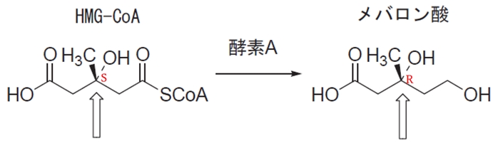 HMG-CoA及びメバロン酸の不斉炭素 97回薬剤師国家試験問209の2
