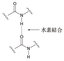 αヘリックス構造ではn番目のペプチド結合のC=Oと何番目のN−Hが水素結合を形成?薬学103回問94の2