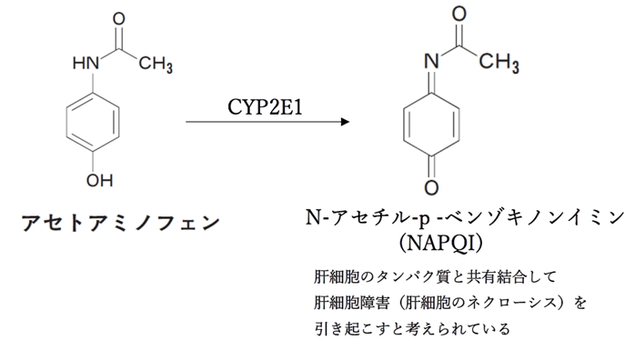アセトアミノフェンの活性代謝物と解毒薬 98回薬剤師国家試験問236,237