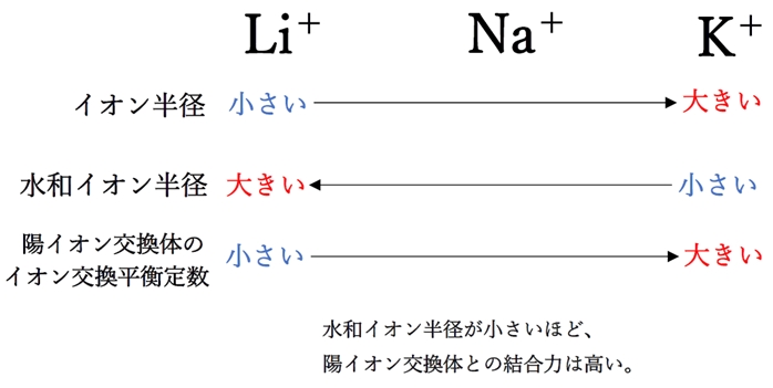 イオン交換平衡定数と水和イオン半径の関係 物理系薬学