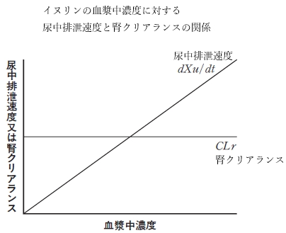 イヌリンの腎クリアランスと糸球体ろ過速度・血漿中濃度の関係　薬学96回問155の1，2