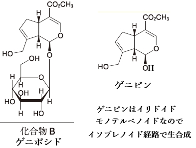 111回薬剤師国家試験問109の解説 黄連解毒湯に含まれる化合物