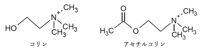 コカインの化学構造を基に創出された局所麻酔薬 104回薬剤師国家試験問107