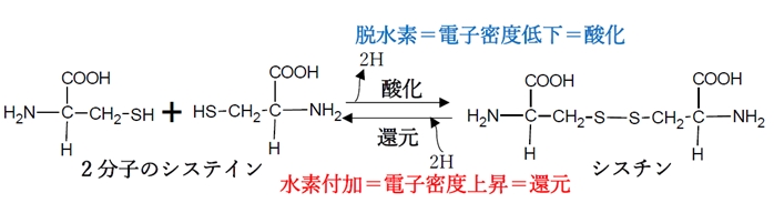 シスチンを還元するとシステインが生成する 薬剤師国家試験97回問207の4