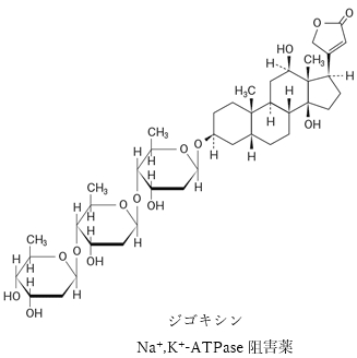95回薬剤師国家試験問157 薬物の腎排泄に関する記述のうち、正しいものはどれか