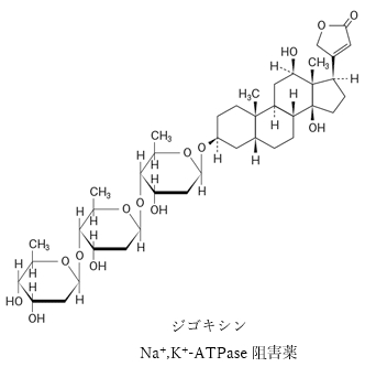 ジギタリス中毒と利尿薬の併用による低カリウム血症 薬学96回問132e