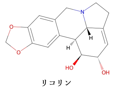 111回薬剤師国家試験問21の解説 スイセンによる食中毒の原因物質
