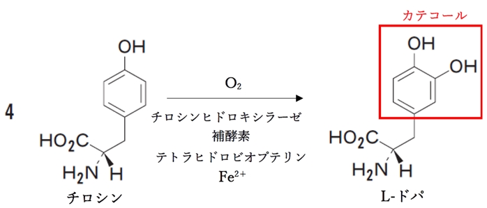 フェブキソスタットの作用点の生体内代謝反応と相互作用 100回薬剤師国家試験問222,223