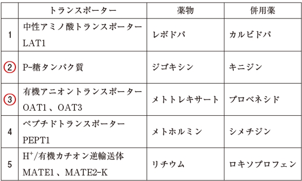 105回薬剤師国家試験問175 トランスポーターを介した薬物の尿細管分泌が併用薬によって阻害…