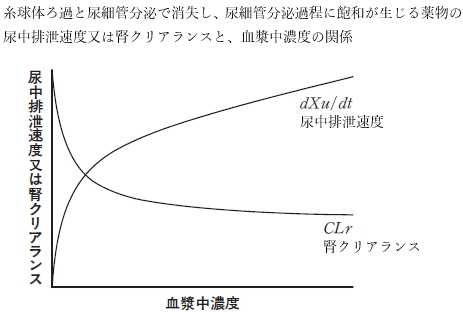 95回薬剤師国家試験問157 薬物の腎排泄に関する記述のうち、正しいものはどれか