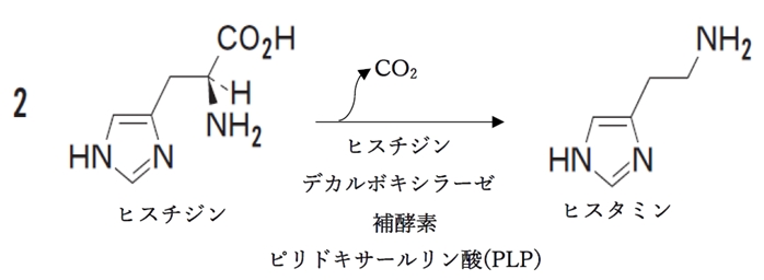 フェブキソスタットの作用点の生体内代謝反応と相互作用 100回薬剤師国家試験問222,223