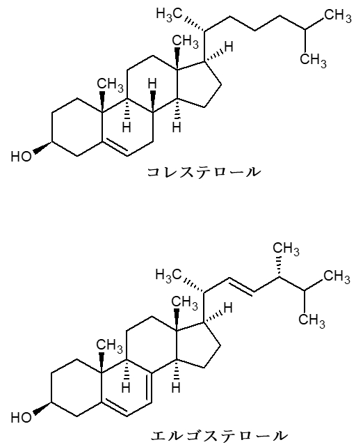 111回薬剤師国家試験問14の解説 ヒトでは合成されない、真菌に特異的な細胞膜成分はどれか