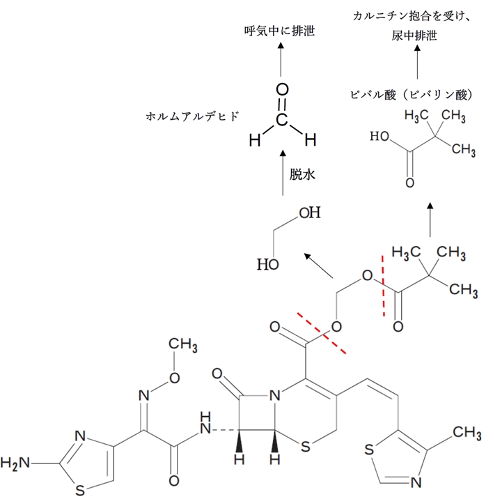 ピボキシル基の構造・代謝と低カルニチン血症に伴う低血糖