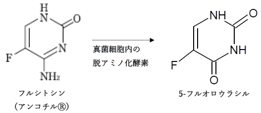 107回薬剤師国家試験問183 薬物とターゲティング技術に関する記述として、正しいのはどれか