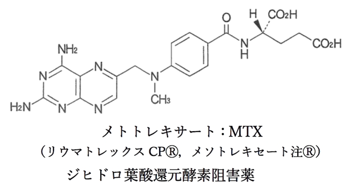 メトトレキサートの作用機序と葉酸代謝 薬理 薬学