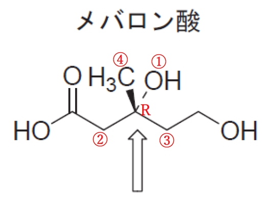 HMG-CoA及びメバロン酸の不斉炭素 97回薬剤師国家試験問209の2