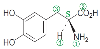 レボドパとその関連化合物の名称,合成 97回薬剤師国家試験問211