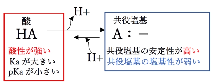 共役塩基の塩基性と酸 90回薬剤師国家試験問4