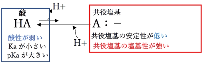 共役塩基の塩基性と酸 90回薬剤師国家試験問4