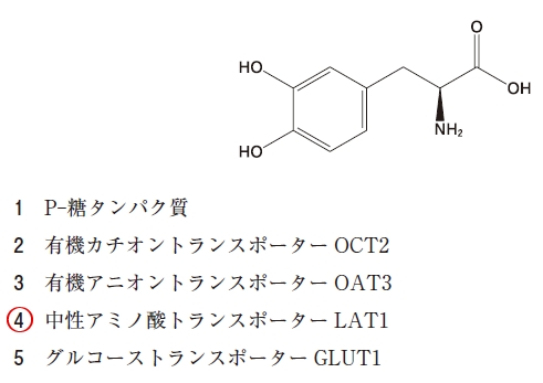 111回薬剤師国家試験問41の解説 構造式の薬物の脳内移行に関与するトランスポーター