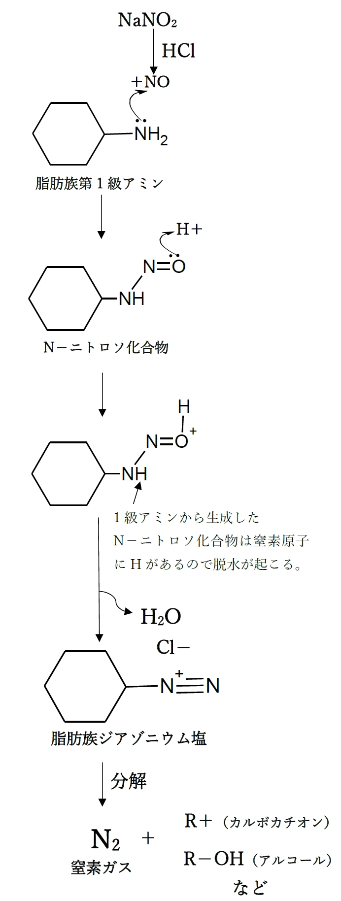 アミンとNaNO2でニトロソ化 反応機構 104回薬剤師国家試験問105