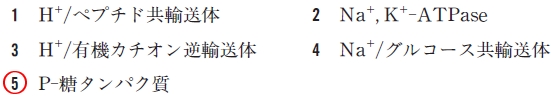 100回薬剤師国家試験問44 薬物の尿細管分泌に関与する一次性能動輸送体はどれか
