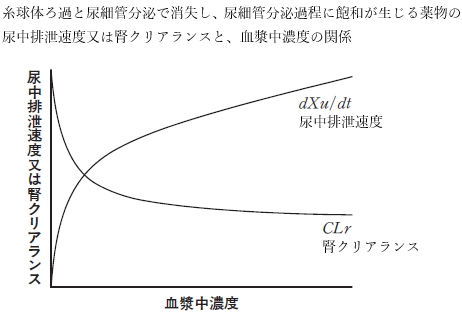 薬物の腎排泄に関する記述について正しい組み合わせはどれか 92回薬剤師国家試験問155