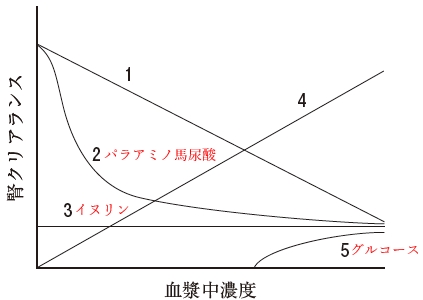 108回薬剤師国家試験問172 薬物の腎排泄に関する記述のうち、正しいのはどれか