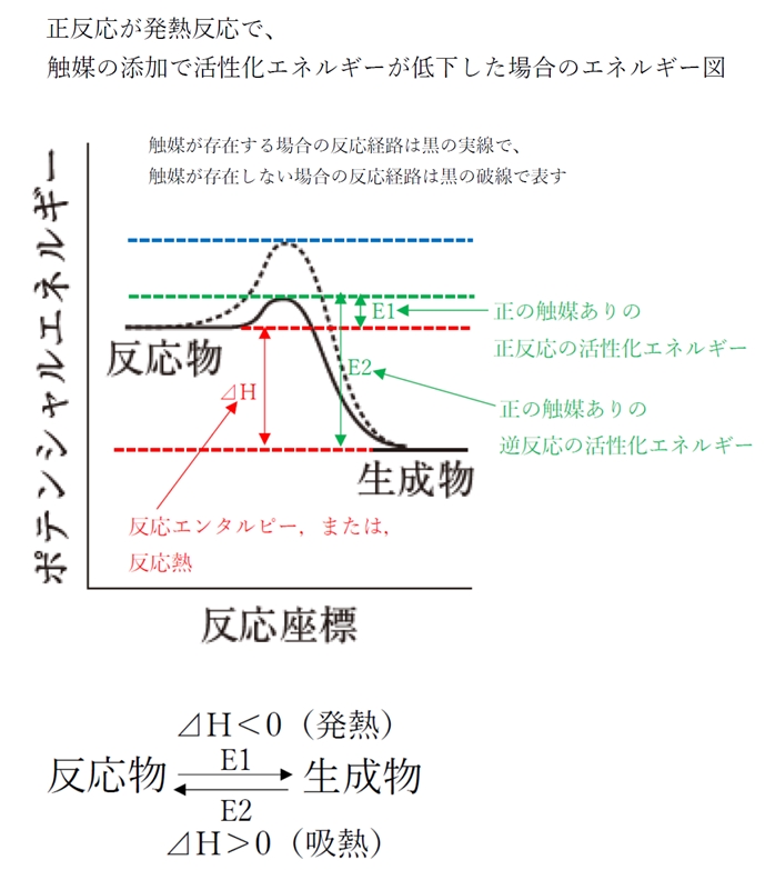 触媒は活性化エネルギーを下げるがエンタルピー変化… 86回薬剤師国家試験問23